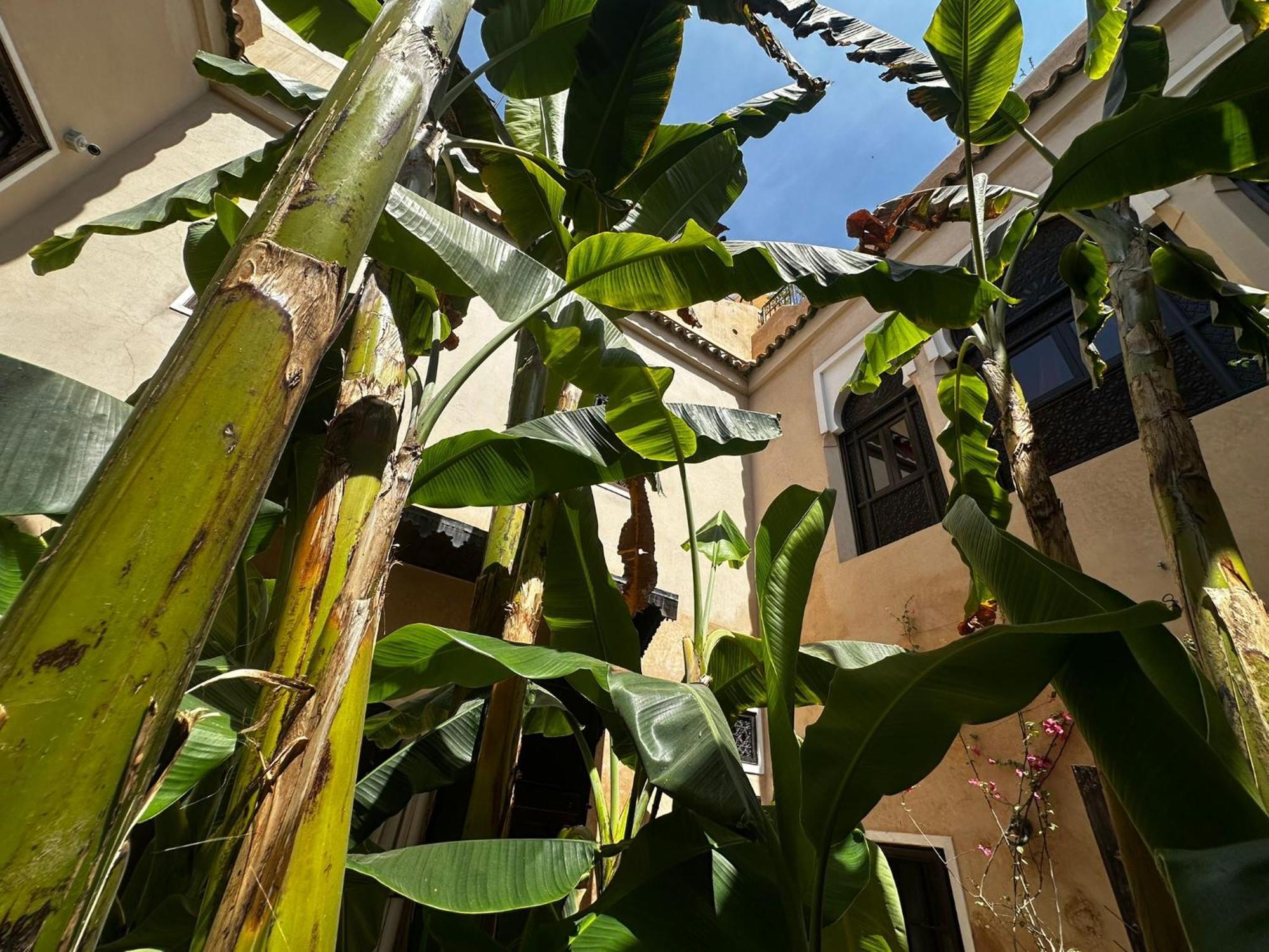 Riad Bamileke Marrakesh Eksteriør bilde